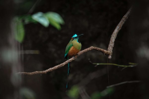 Boostez votre productivité grâce à la cohésion d'équipe" Le team building a déjà fait ses preuves en permettant aux collaborateurs de renforcer leur esprit d'équipe et de mieux se connaître. Découvrez maintenant comment cette même approche peut avoir un i